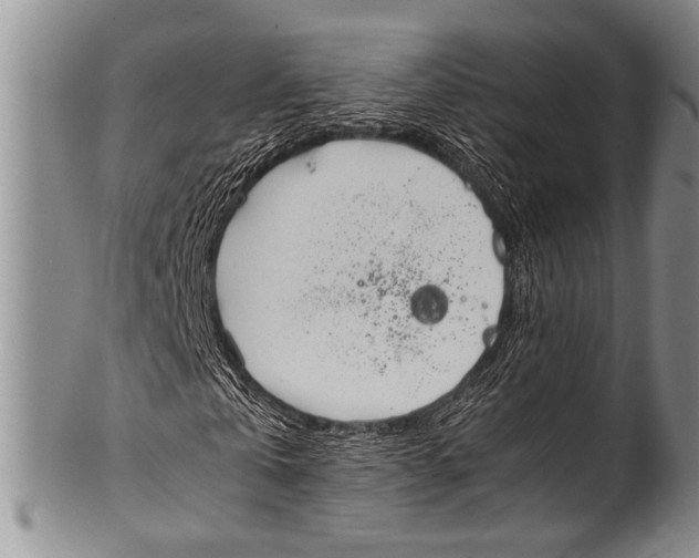 X0000100340769200806261326