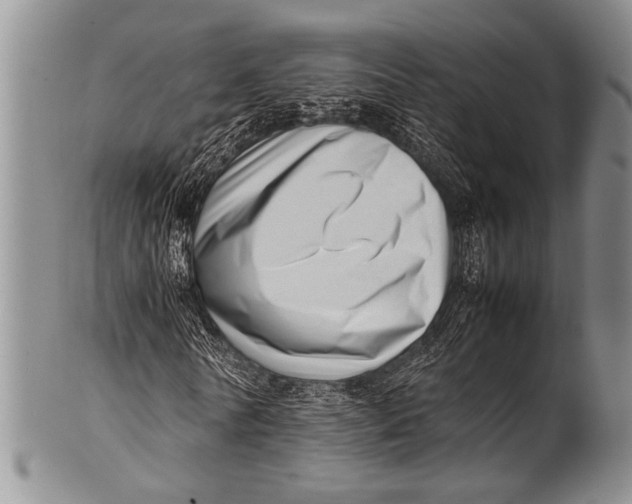 X0000100340770200806261326