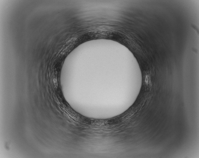 X0000100340771200806261326