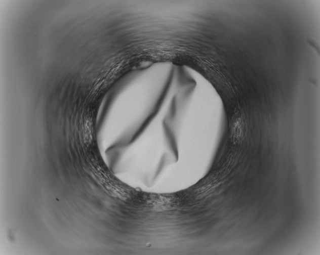 X0000100340772200806261326