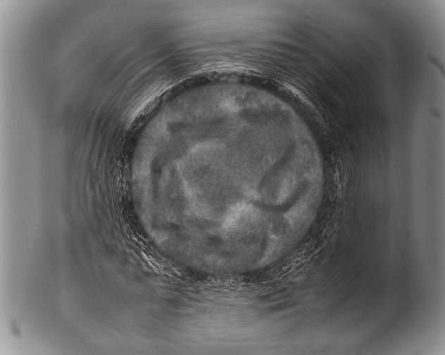 X0000100340775200806261326