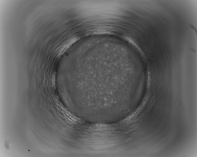 X0000100340777200806261326