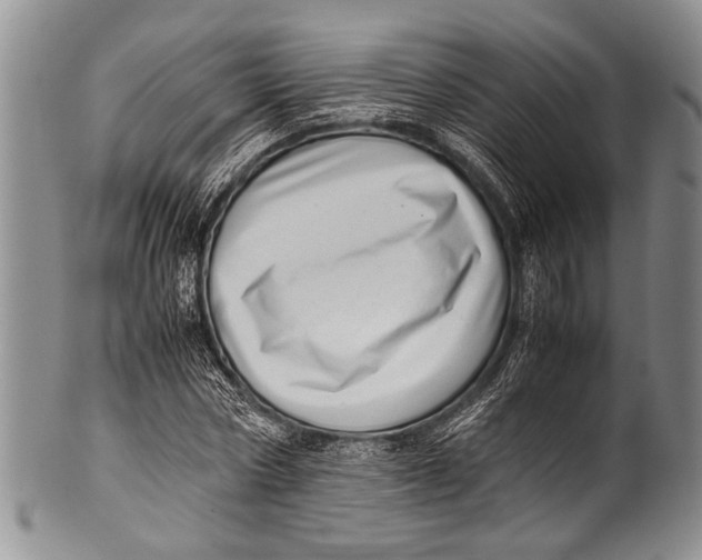 X0000100340778200806261326