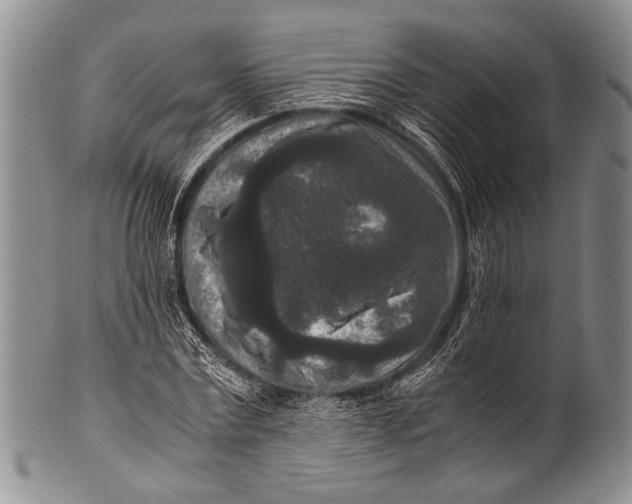 X0000100340779200806261326