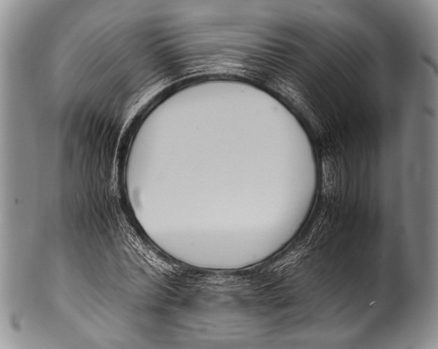 X0000100340780200806261325