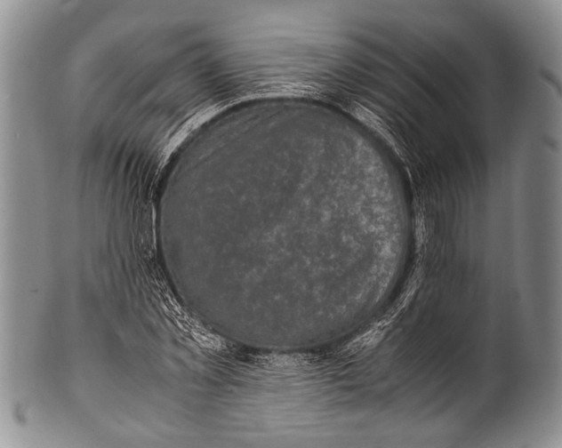 X0000100340781200806261325