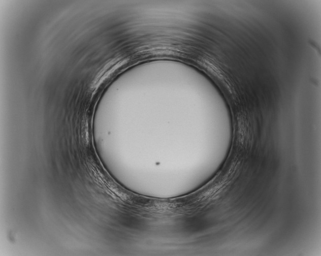 X0000100340782200806261325