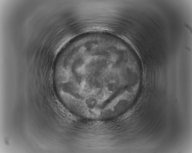 X0000100340783200806261325