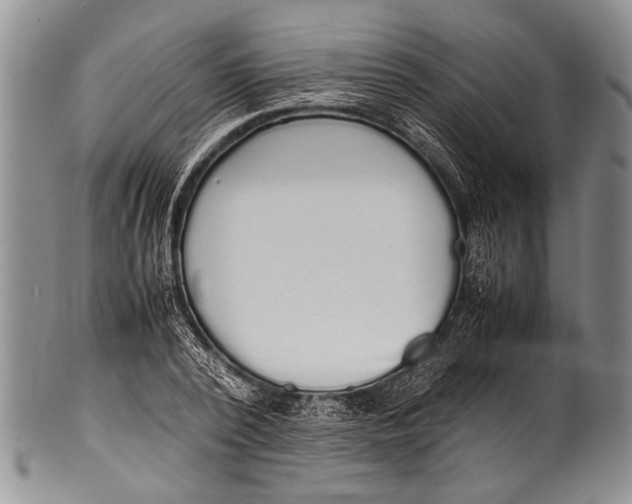 X0000100340784200806261325