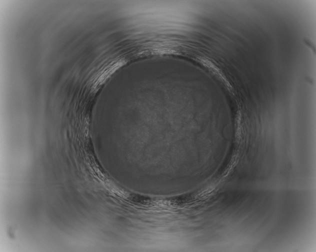 X0000100340785200806261325