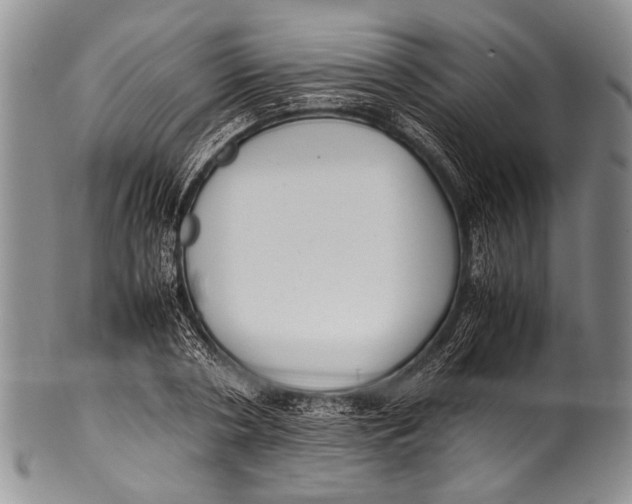 X0000100340786200806261325