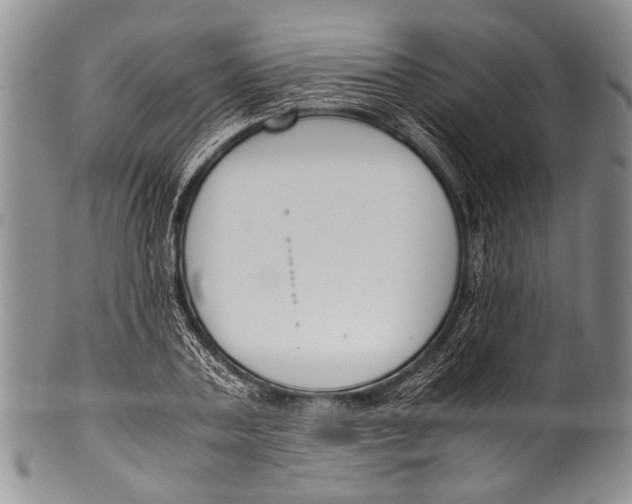 X0000100340787200806261325