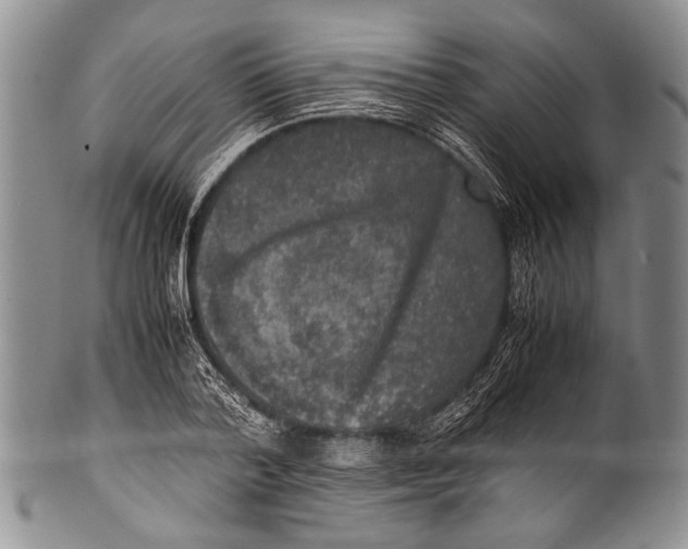 X0000100340788200806261325