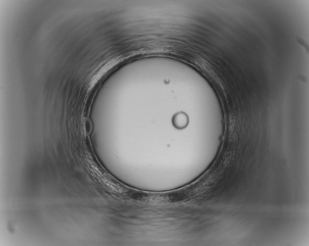 X0000100340789200806261325