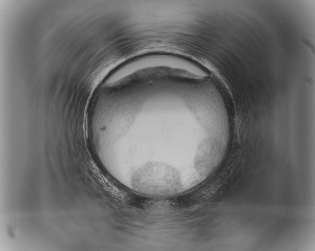 X0000100340791200806261325