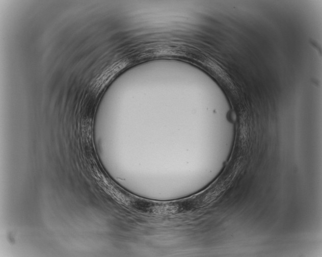 X0000100340793200806261325