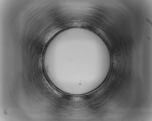 X0000100340794200806261325