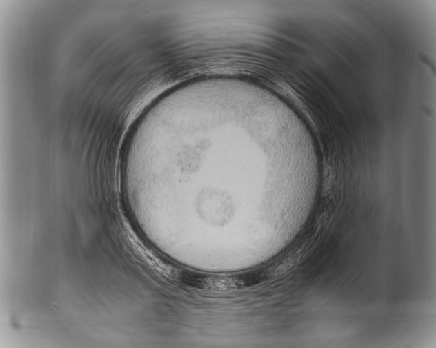 X0000100340795200806261325