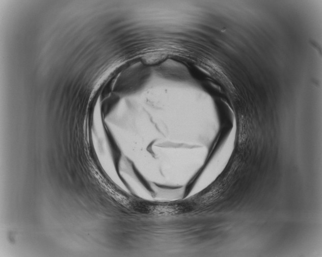 X0000100340796200806261325