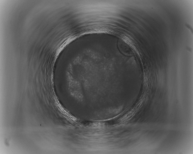 X0000100340797200806261325