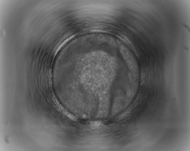 X0000100340798200806261325