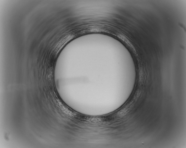 X0000100340801200806261325