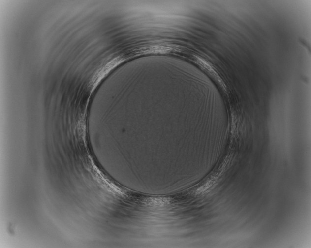 X0000100340802200806261325