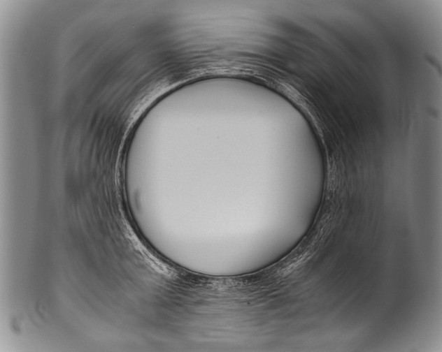 X0000100340803200806261325