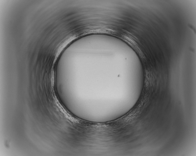 X0000100340804200806261325