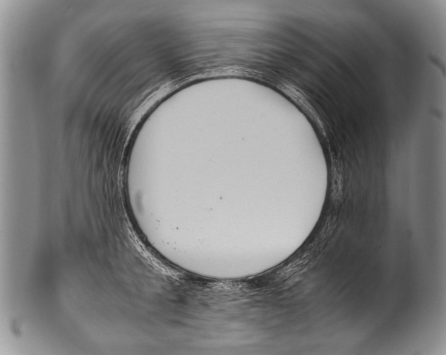 X0000100340805200806261325