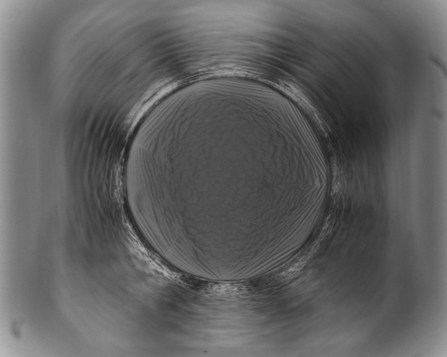 X0000100340806200806261325