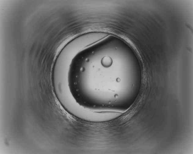 X0000100340807200806261325