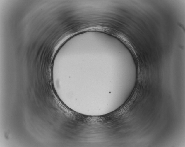 X0000100340808200806261325