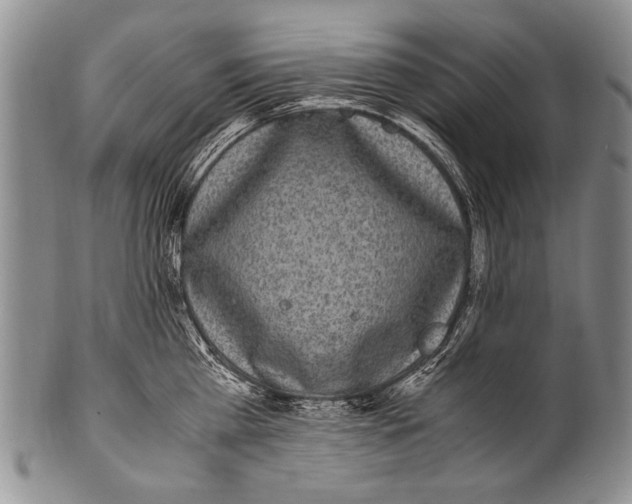 X0000100340809200806261325