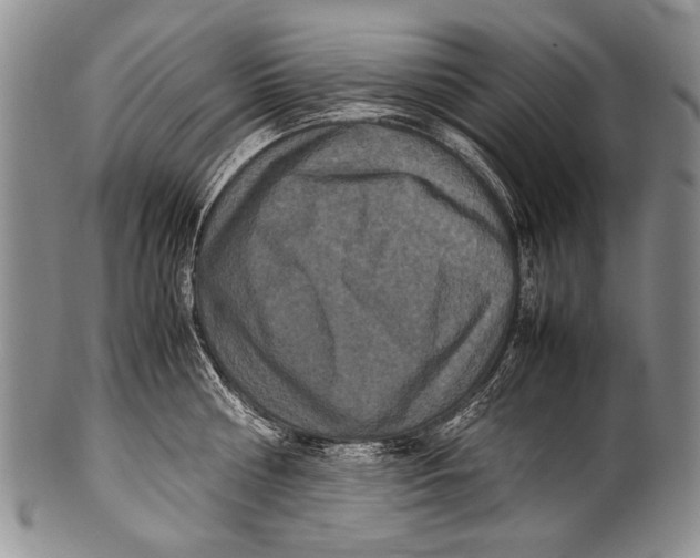 X0000100340810200806261325