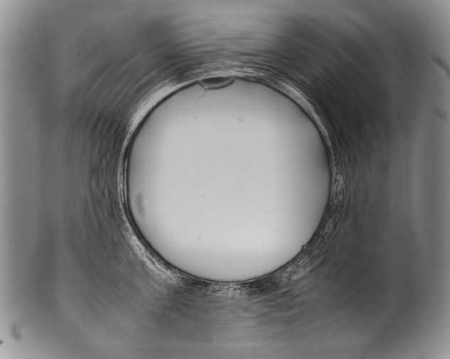 X0000100340811200806261325