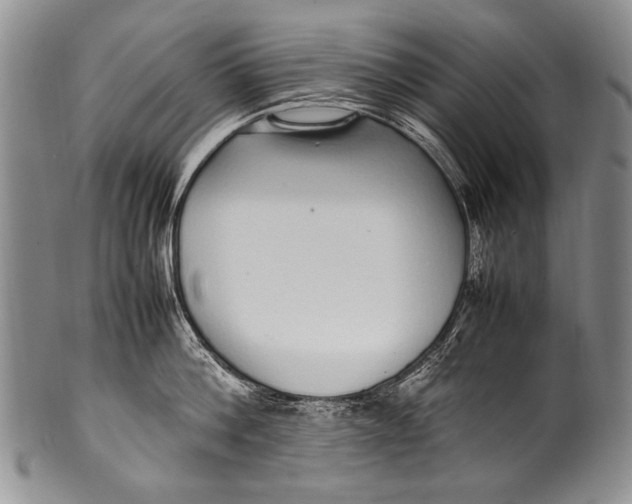 X0000100340812200806261325