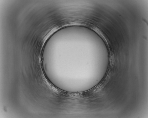 X0000100340813200806261325