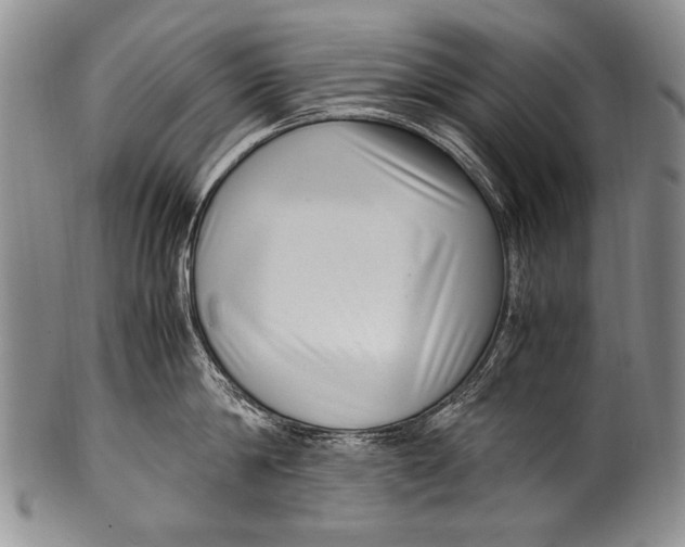 X0000100340814200806261325