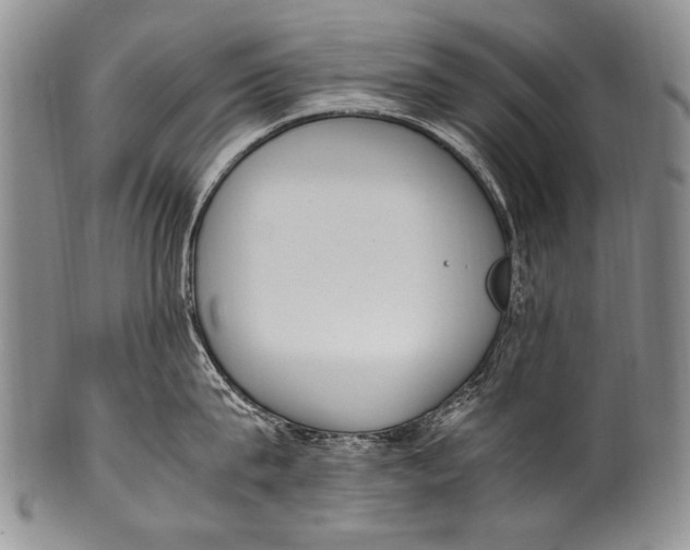 X0000100340815200806261325