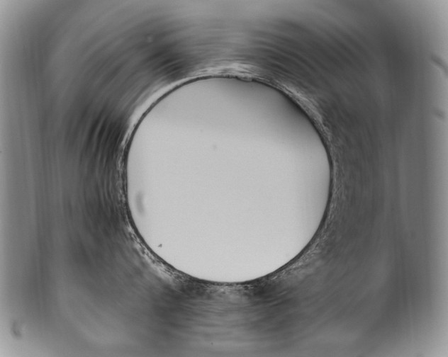 X0000100340816200806261325