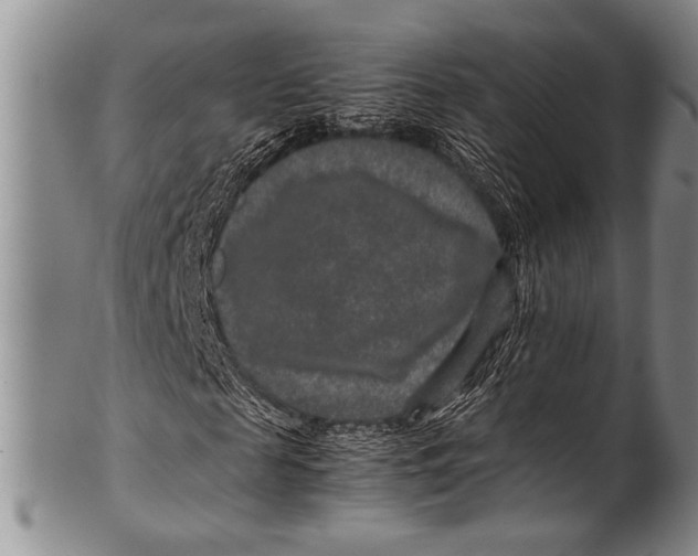 X0000100340817200806261324