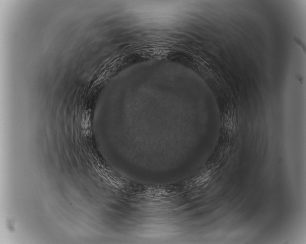 X0000100340818200806261324