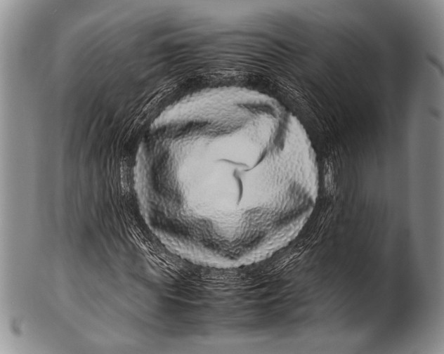 X0000100340819200806261324