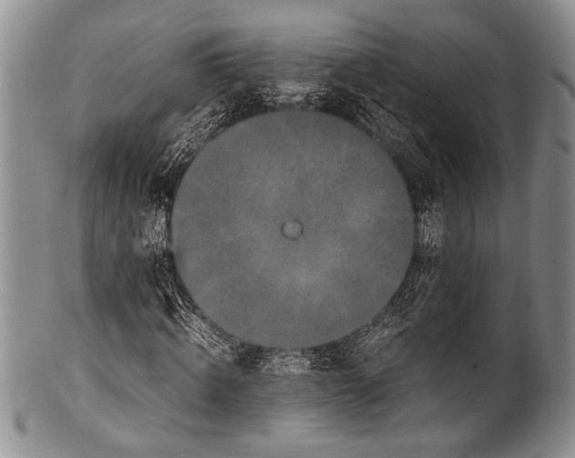 X0000100340820200806261324