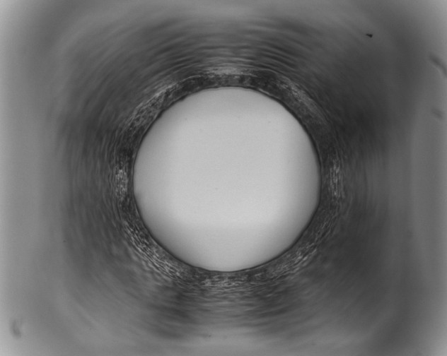 X0000100340821200806261324