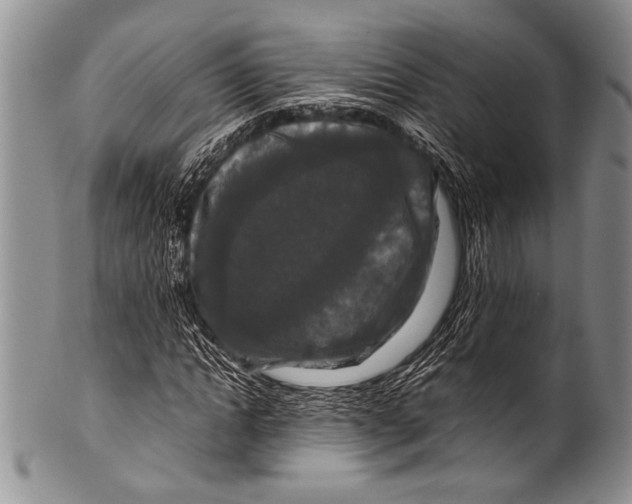 X0000100340822200806261324