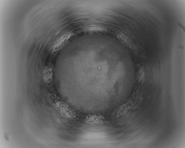 X0000100340824200806261324