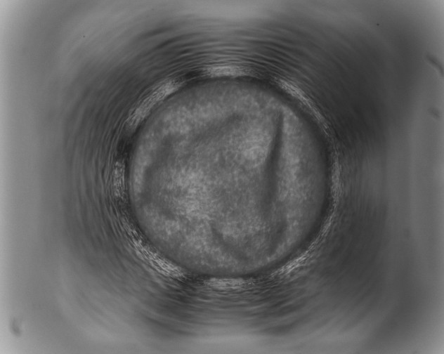 X0000100340825200806261324