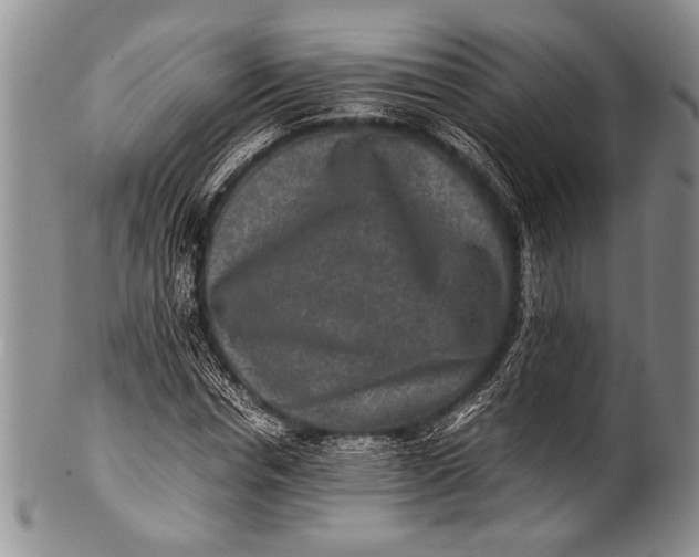 X0000100340826200806261324